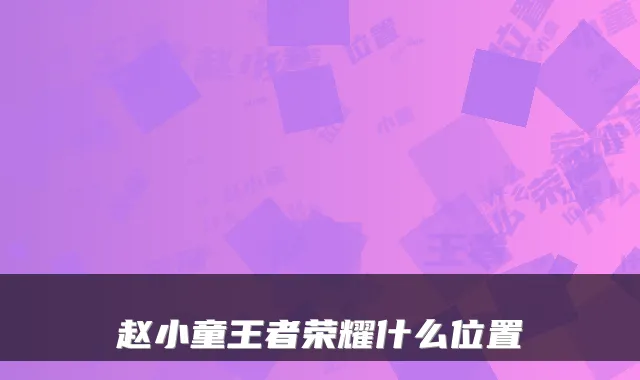 赵小童王者荣耀什么位置