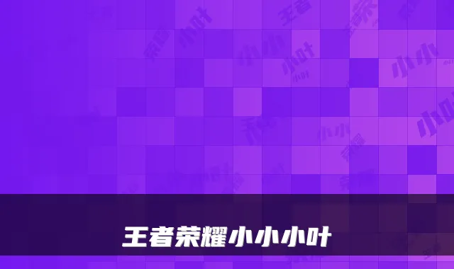 王者荣耀小小小叶