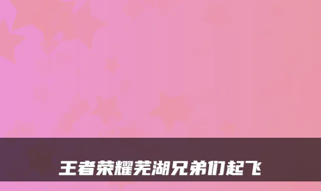 王者荣耀芜湖兄弟们起飞